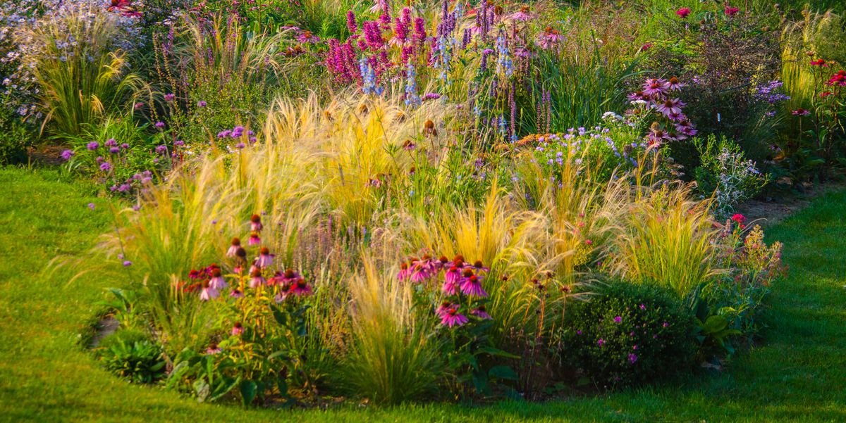 ornamental garden, with grasses and various perennial flowers in mixed borders and flower beds designed in such a way to provide natural color patterns, and a sense of naturalistic landscape