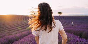 France, Valensole, back view of woman standing in front of lavender field at sunset