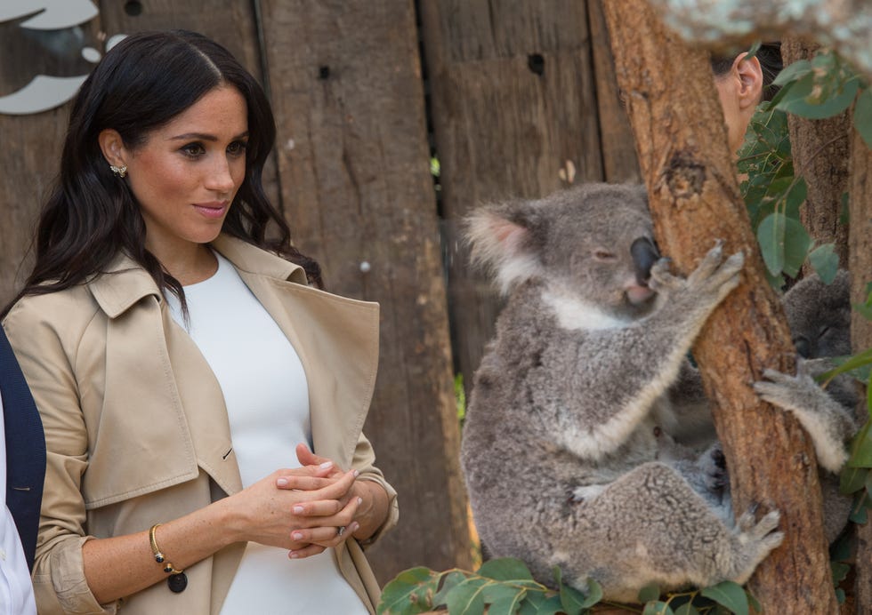 Meghan Markle On Royal Tour Of Australia