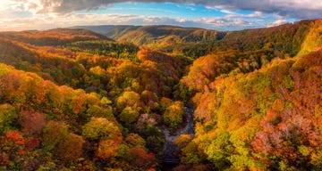 fall foliage over hills