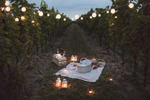 food and light arranged in vineyard for a picnic at night