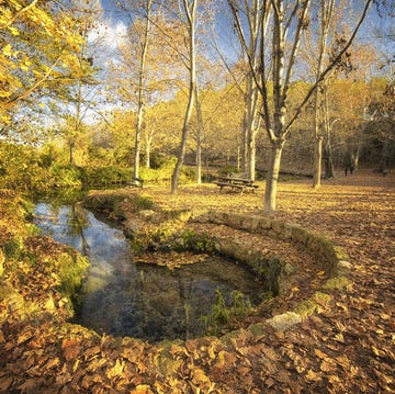 Ruta de las Fuentes del Marqués en Murcia ruta de las fuentes del marqués en murcia