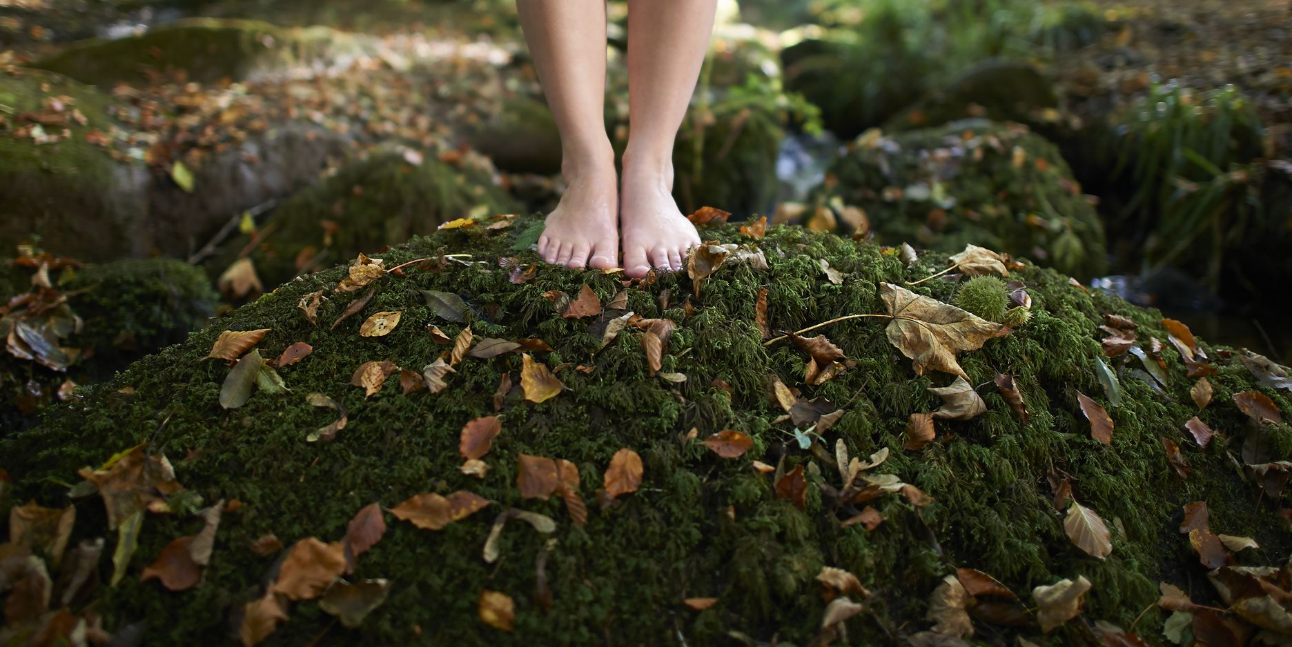 feet on moss covered rock in autumn woodland