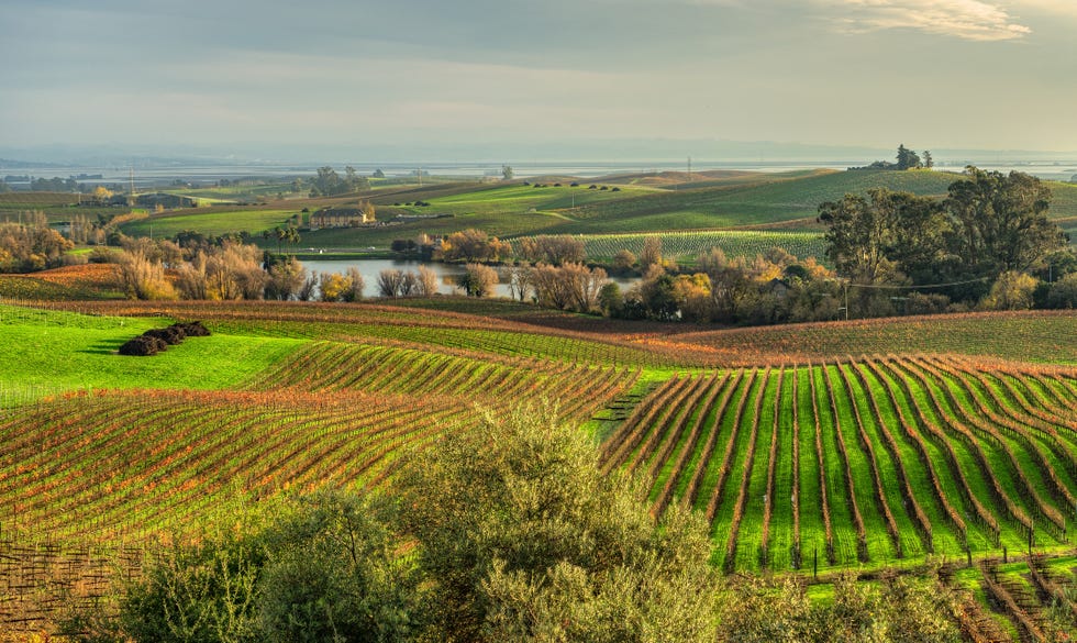 Scenic view of rolling countryside