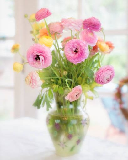 pink, yellow and orange ranunculus floral bouquet with french door windows in background