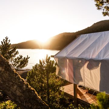 tent in wilderness, johnstone strait, telegraph cove, canada