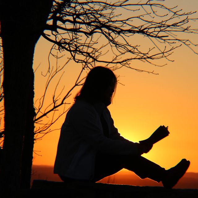 Silhouette Woman Reading Book While Sitting By Bare Tree Against Orange Sky