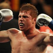 saul alvarez of mexico celebrates after knocking out opponent carlos baldomir of argentina during their wbc super welterweight silver title fight at the staples center in los angeles, on september 18, 2010               afp photomark ralston photo credit should read mark ralstonafp via getty images