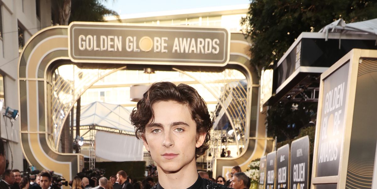 Timothée Chalamet Wants You to Know That He Wasn't Wearing a Harness at the  2019 Golden Globes