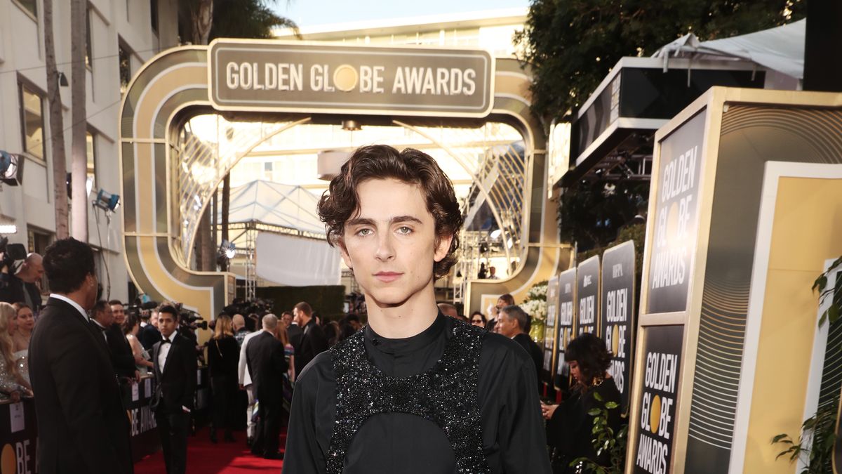 Timothée Chalamet Just Wore A Bedazzled Harness to The Golden Globes