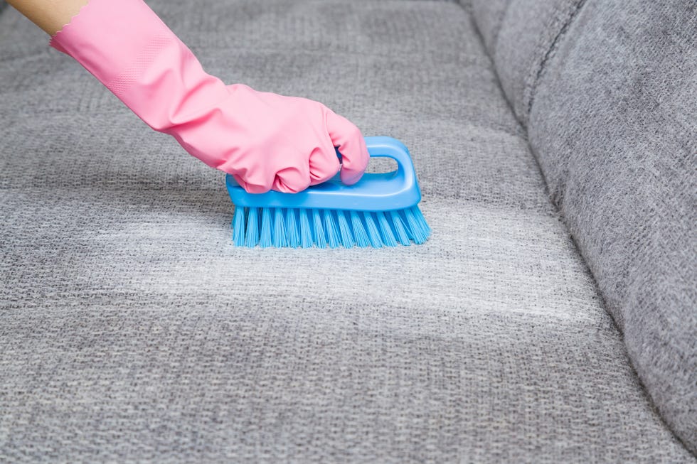 dry cleaners employee hand in protective gloves removing stain from gray sofa with brush and special foam early spring regular cleanup commercial cleaning company close up side view