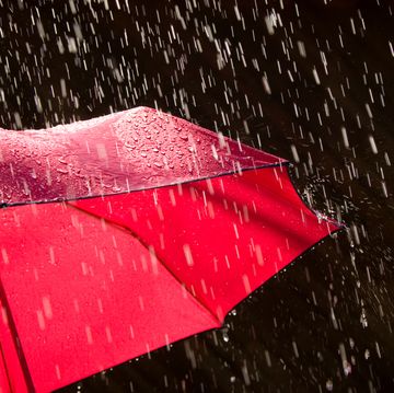 a red umbrella in the rain