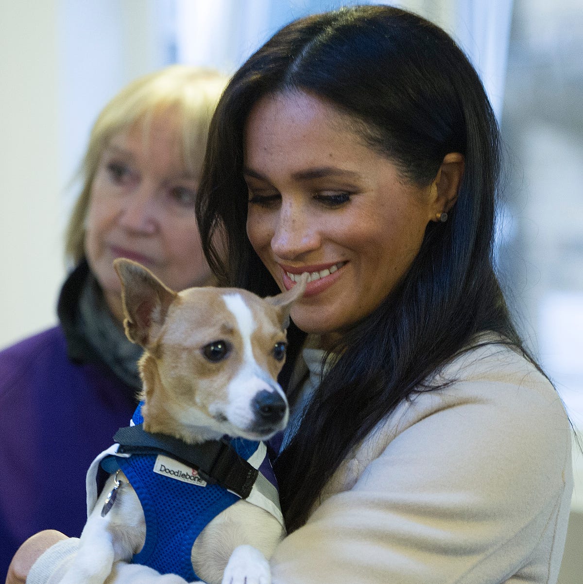 Duchess Meghan Writes Touching Letter Following End of Animal Charity Patronage Duchess Meghan Writes Touching Letter Following End of Animal Charity Patronage