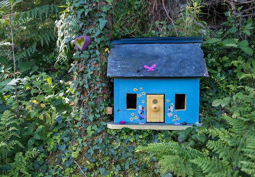 blue fairy house along the path on the coast of ireland house is blue with yellow door, in a green lush forest