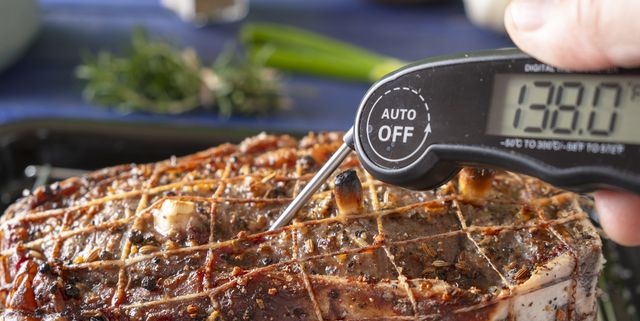 The Best Meat Thermometers You Can Buy