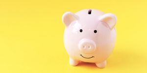 Saving, Pink, Suidae, Domestic pig, Snout, Livestock, Piggy bank, Toy, Fawn, Animal figure, 