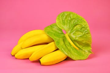 Yellow, Plant, Leaf, Food, Vegetable, Petal, Leaf vegetable, Vegan nutrition, Flower, Produce, 