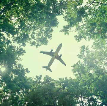 eco friendly air transport concept the plane flies in the sky against the background of green trees environmental pollution harmful emissions