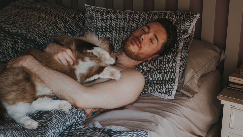 Young man in bed with a Ragdoll cat lying on his chest