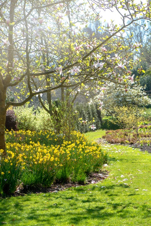  Spring Equinox: 14 heartwarming photos of spring in the UK