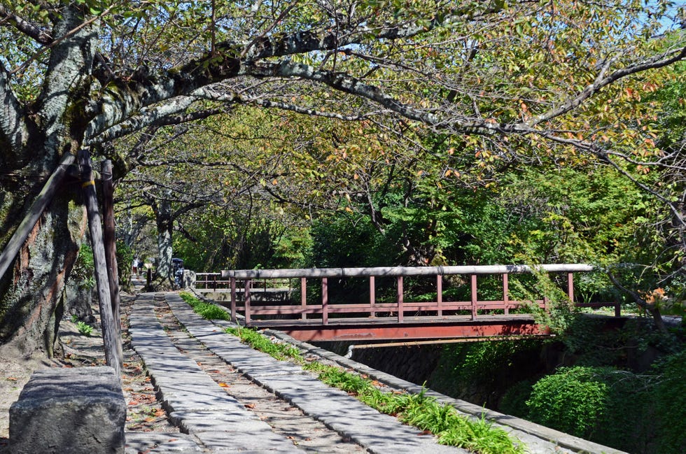 philosophers path, kyoto. (photo by: vwpics/nano calvo/universal images group via getty images)