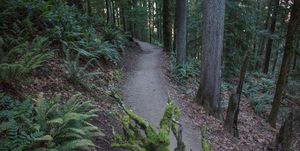 wildwood trail