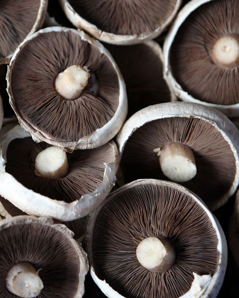 mushrooms adaptogens