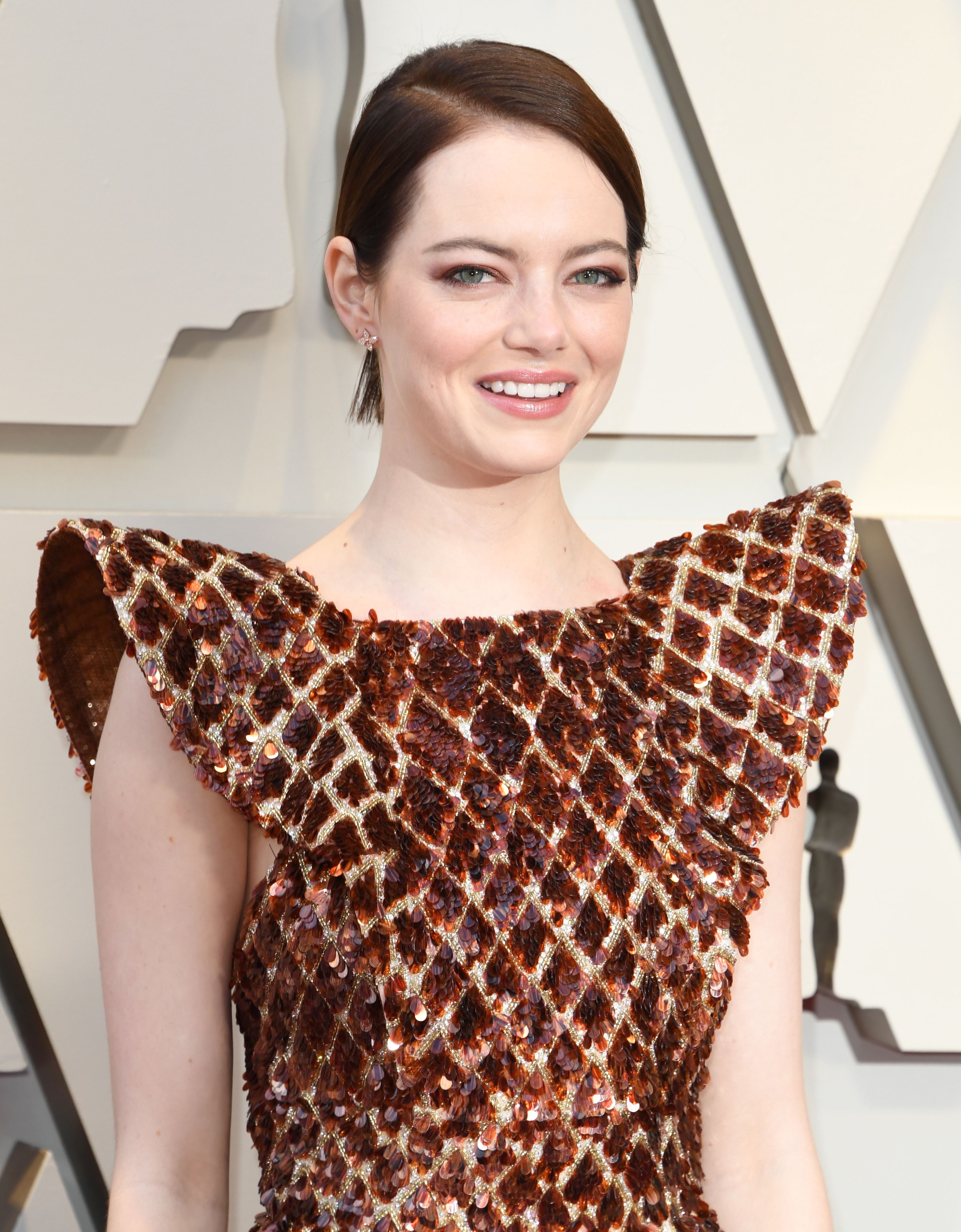 Decoding Emma Stone's Louis Vuitton Gown At The 2019 Oscars MOJEH
