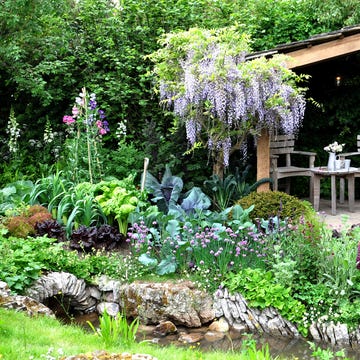 Romantic cottage garden rhs chelsea flower show