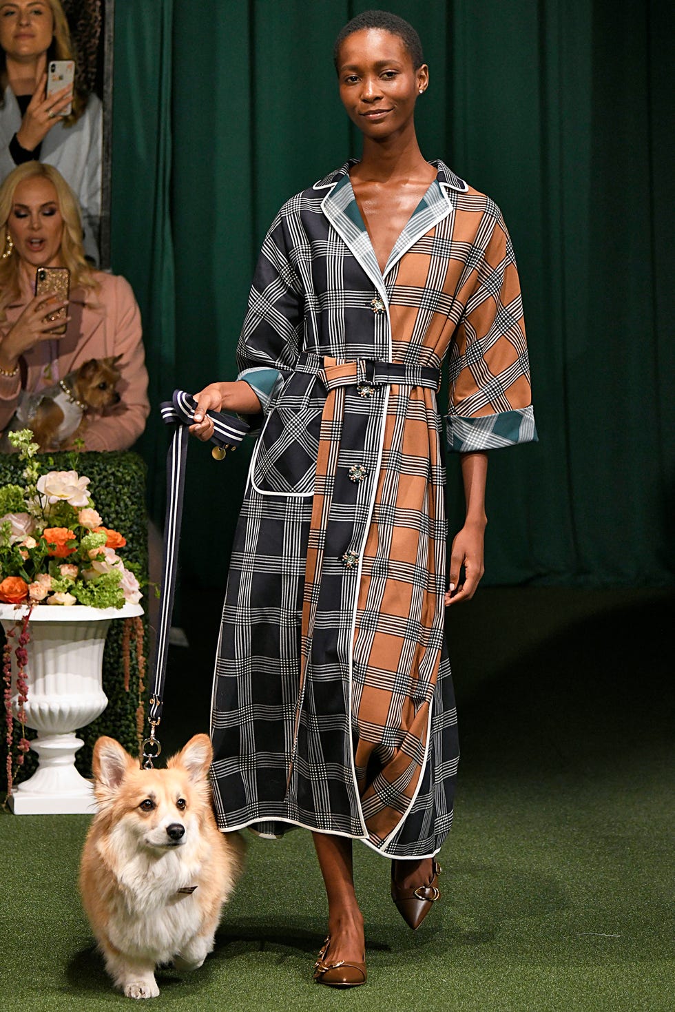 Clothing, Fashion, Canidae, Dog, Dress, Companion dog, Design, Pattern, Fawn, Pembroke welsh corgi, 