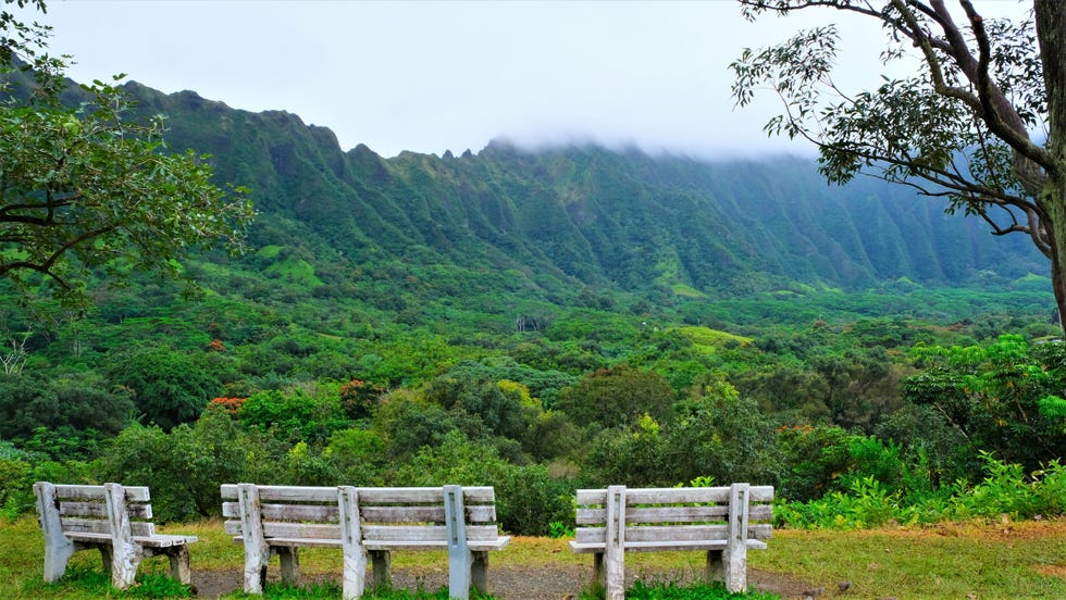 view of the entrance and koolau mountains as one drives through the hoomaluhia botanical park strolling or driving through these lush 400 acres in windward oʻahu, you will truly agree that hoʻomaluhia is rightfully named a peaceful refuge  opened in 1982, this garden in kāneʻohe features plantings from major tropical regions around the world