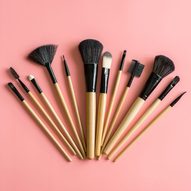 10 Best Makeup Brushes For Beginners 2024