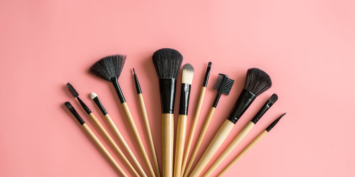 10 Best Makeup Brushes for Beginners 2024