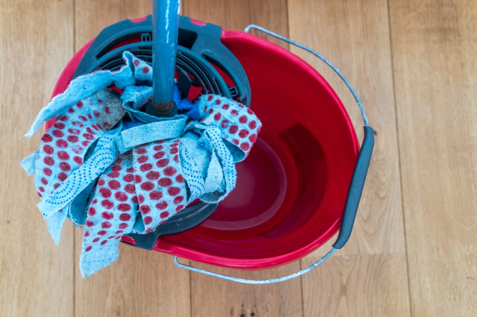 close up of mop and cleaning bucket, brussels, belgium