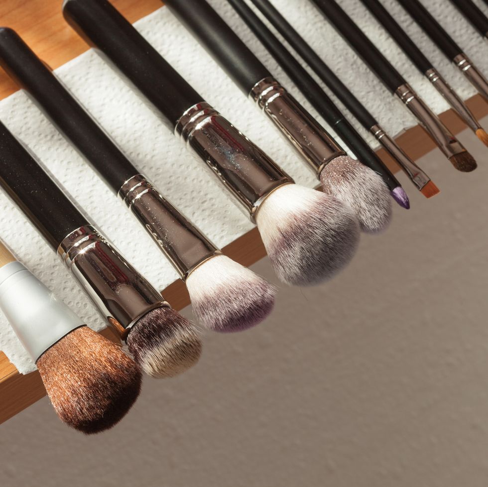 beauty and makeup set of wet professional make up brushes after washing is drying