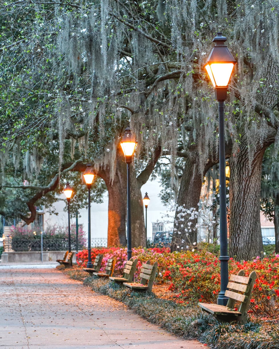 forsyth park in savannah