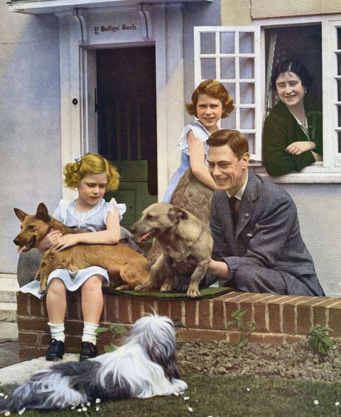 George VI with his daughters and their pet dogs outside Y Bwthyn Bach (The Little House) the gift of the Welsh people to Princess Elizabeth (standing by window). Princes Margaret seated, Queen Elizabeth looks on from inside cottage