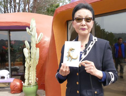 11 april 2019, us, hillsborough owner florence fang stands with a dinosaur map in front of her flintstone house in hillsborough near san francisco the californian decorated her unusual flintstone house with meter high dinosaurs and other figures for some city officials in that fancy place, its a blot now the construction dispute is going to court to dpa yabba dabba doo   zoff around flintstone house goes to court photo barbara munkerdpa photo by barbara munkerpicture alliance via getty images