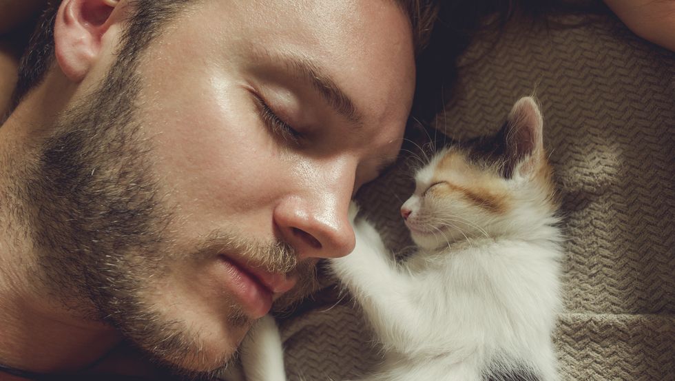 man and his kitten napping