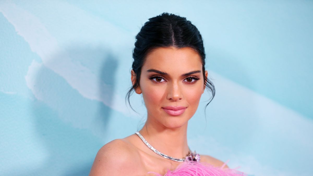 Teen Girl With Round Boobs - Kendall Jenner Nipples â€” 16 Sheer and See-Through Outfits 2022