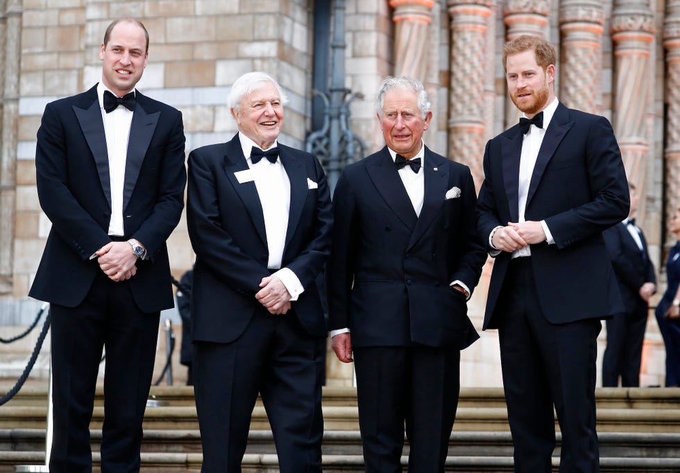 london, england april 04: (l r) prince william, duke of cambridge, sir david attenborough, prince charles, prince of wales and prince harry, duke of sussex attend the "our planet" global premiere the at the natural history museum on april 04, 2019 in london, england. (photo by john phillips/getty images)