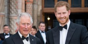 london, england april 04 prince charles, prince of wales and prince harry, duke of sussex attend the our planet global premiere at natural history museum on april 04, 2019 in london, england photo by samir husseinsamir husseinwireimage