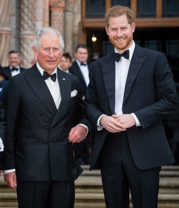 prince charles, prince of wales, stands with son prince harry, duke of sussex