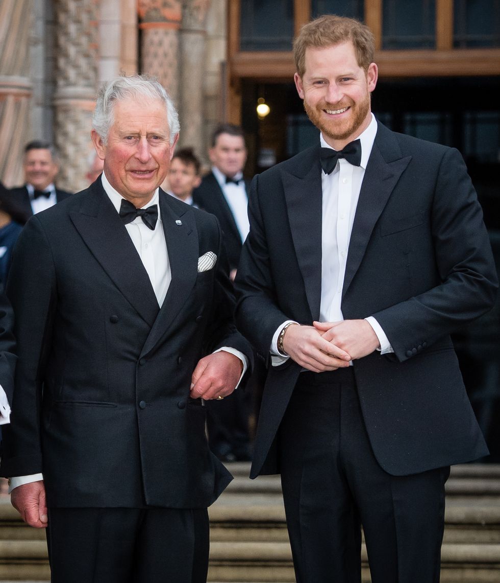 london, england   april 04 prince charles, prince of wales and prince harry, duke of sussex attend the our planet global premiere  at natural history museum on april 04, 2019 in london, england photo by samir husseinsamir husseinwireimage