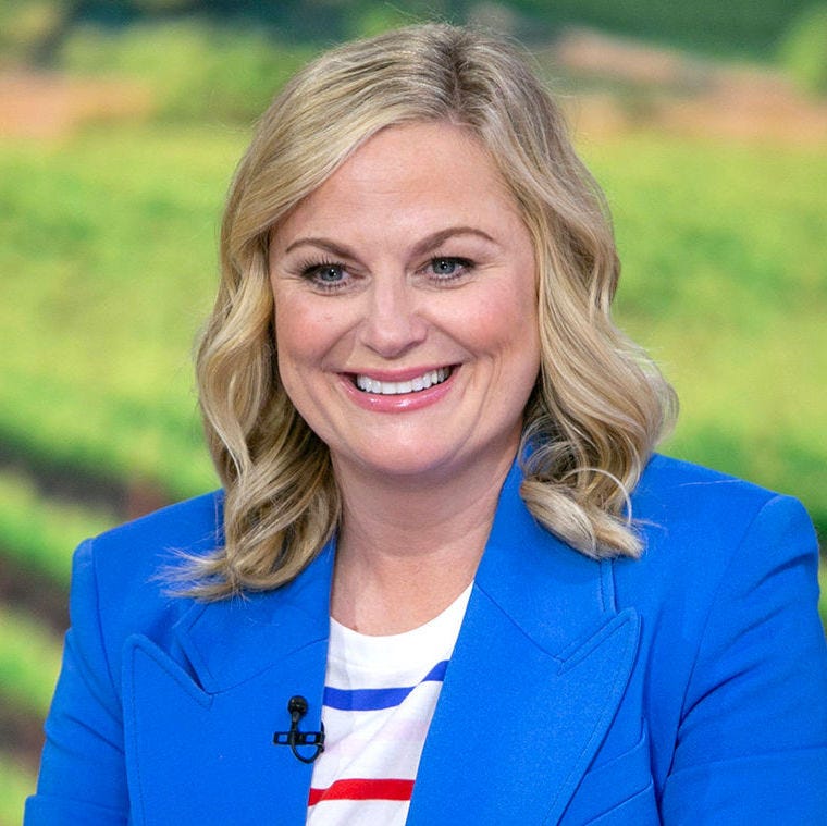 Amy Poehler Celebrity Porn - 10 Things You May Not Know About Amy Poehler