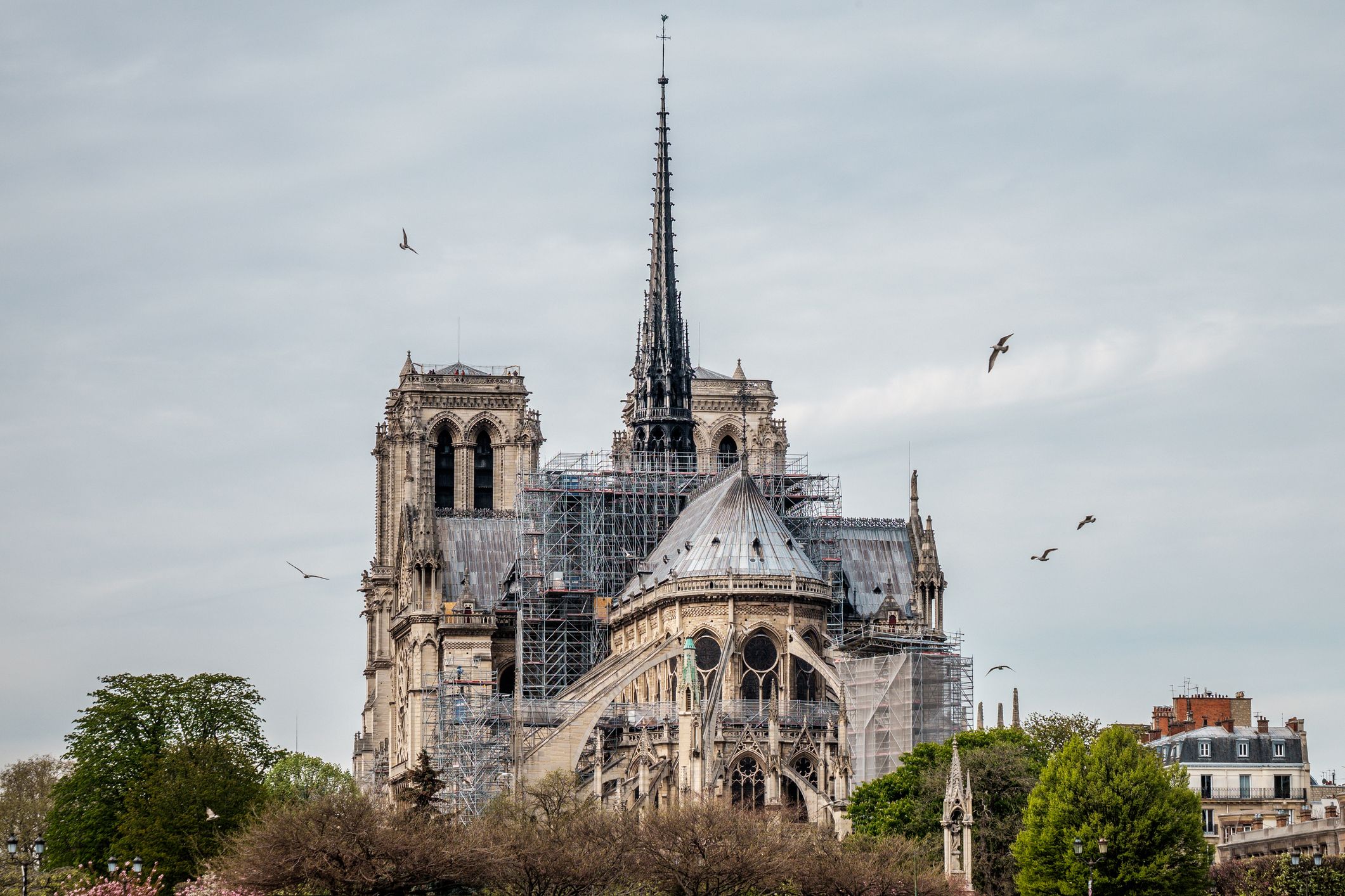 Paris's crumbling Notre-Dame Cathedral hopes wealthy Americans