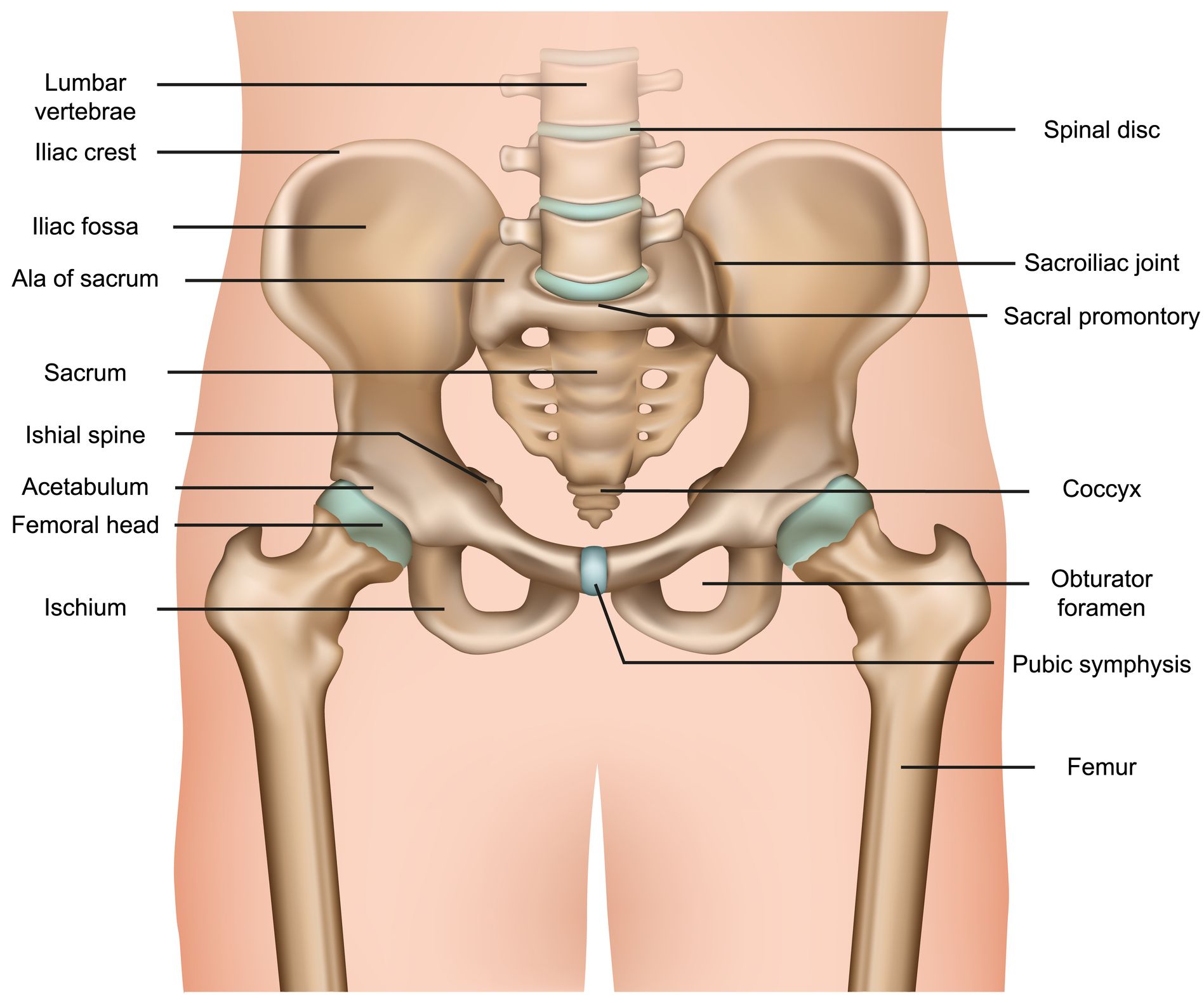 Outlet Hips