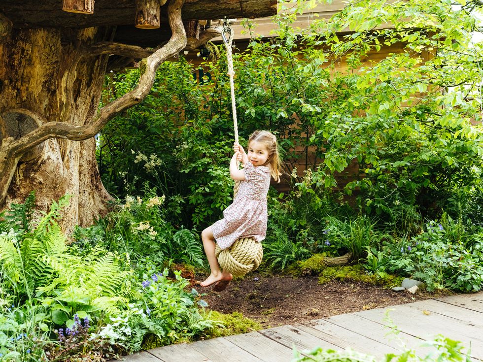 Swing, People in nature, Grass, Tree, Botany, Garden, Plant, Outdoor play equipment, Jungle, Photography, 