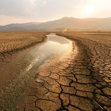 dried lake and river on summer, water crisis at africa or ethiopia and climate change or drought concept