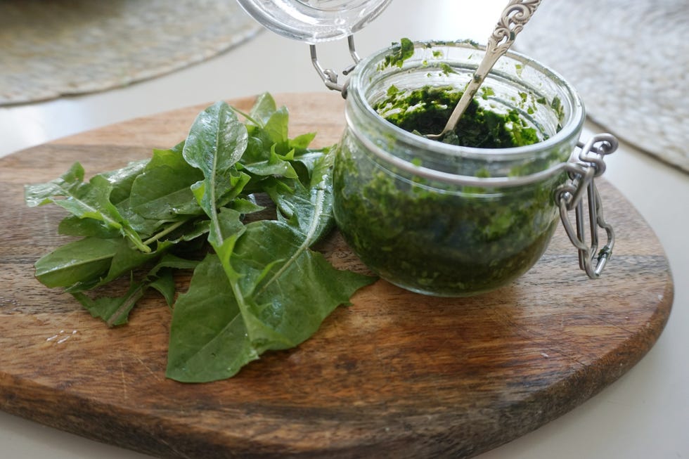 dandelion greens dandelion greens